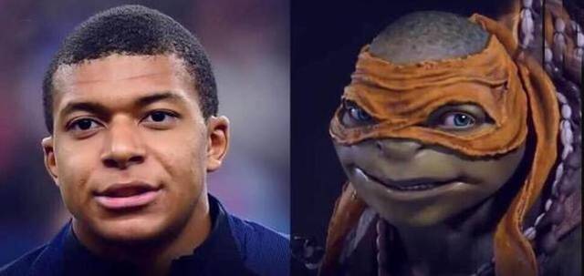 fi